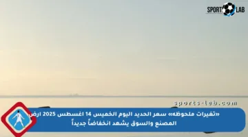 «تغيرات ملحوظة» سعر الحديد اليوم الخميس 14 أغسطس 2025 أرض المصنع والسوق يشهد انخفاضاً جديداً